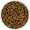 Goodness Grains Turkey and Rice Adult Dog Food - Image 3