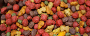 Dog food