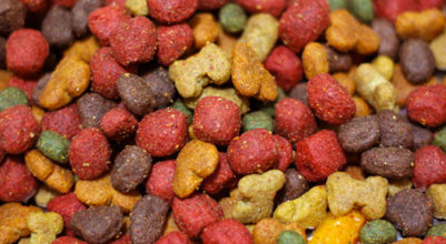 Dog food