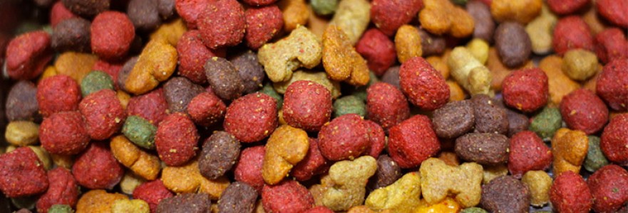 Dog food