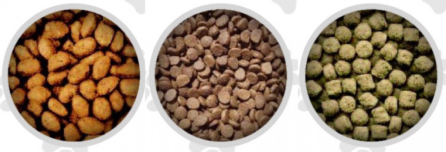 Little Chompers Dog Food