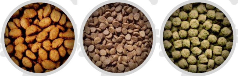 Little Chompers Dog Food