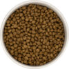 Goodness Grains Turkey and Rice Adult Small Breed - Image 3